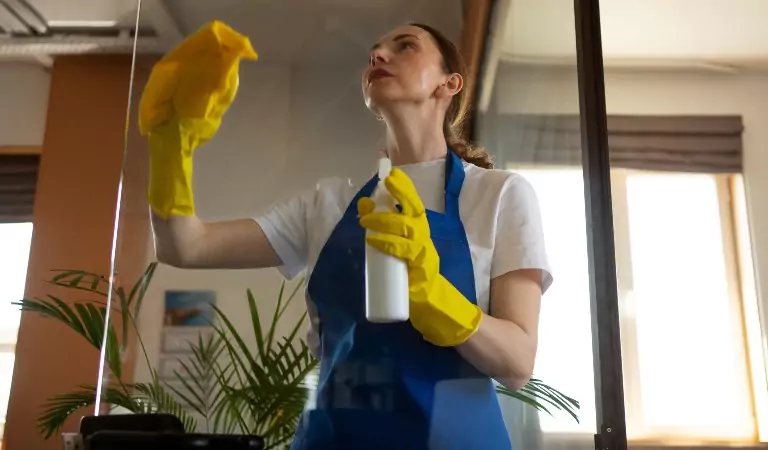 professional Cleaner Cleaning the Glass