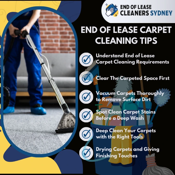 Infographic For End of Lease Carpet Cleaning Tips