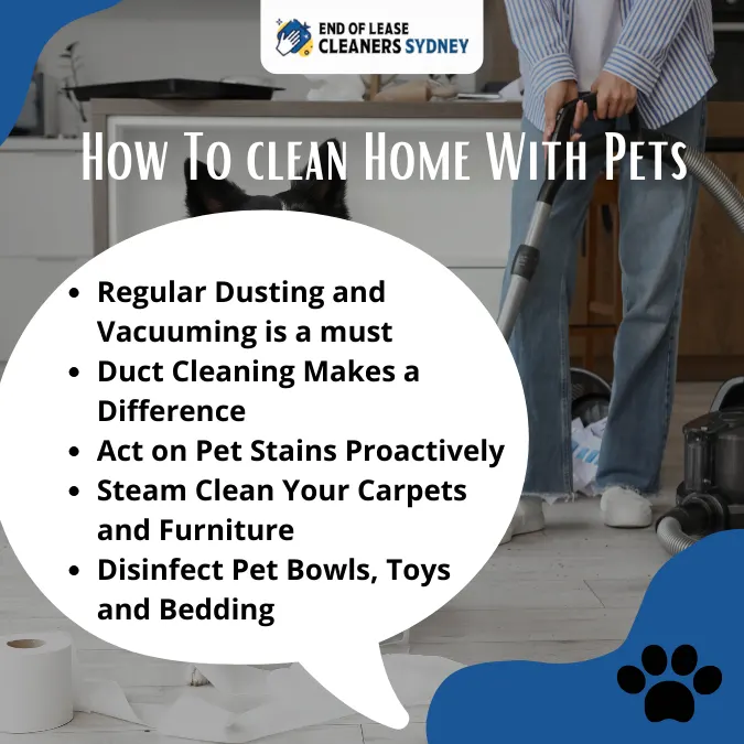How To clean Home With Pets